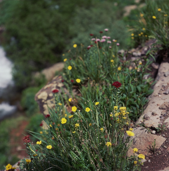 Colorado Western Slope